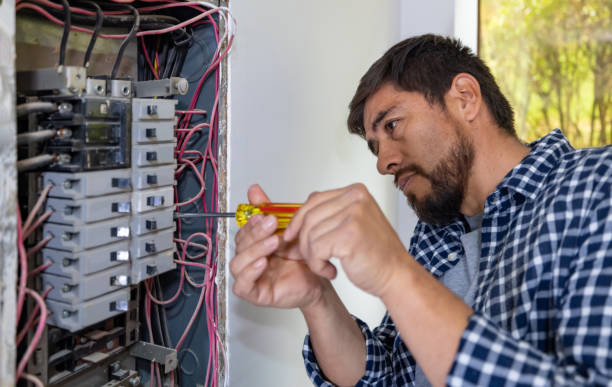 Best Ceiling Fan Installation Electrician  in Palatka, FL